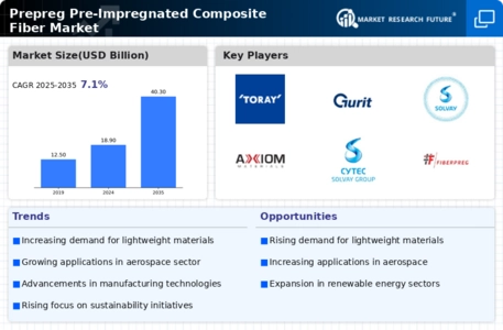 Prepreg Pre Impregnated Composite Fiber Market Infographic