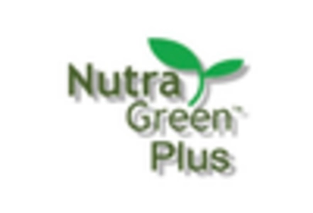 Mango Seed Oil Market  key player