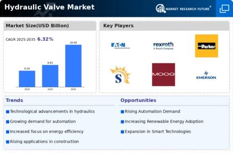 Hydraulic Valve Market Infographic