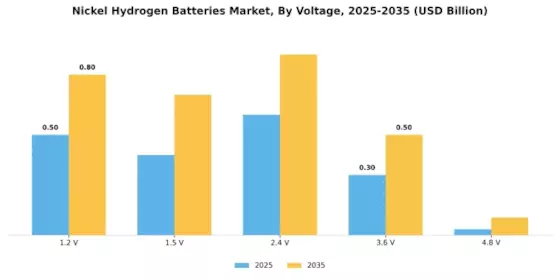 Nickel Hydrogen Batteries Market Segment Image 4