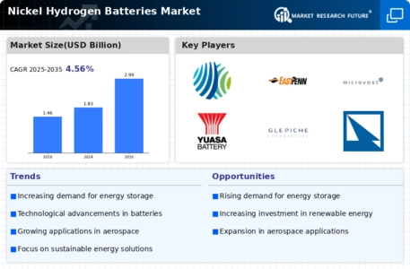 Nickel Hydrogen Batteries Market Infographic