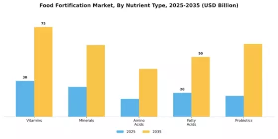Food Fortification Market Segment Image 4