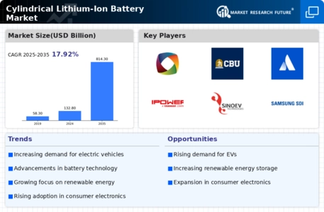 Cylindrical Lithium Ion Battery Market Infographic