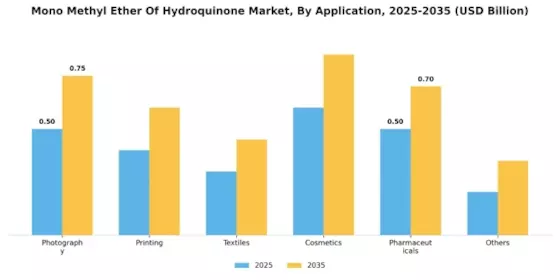 Mono Methyl Ether Hydroquinone Market Segment Image 0