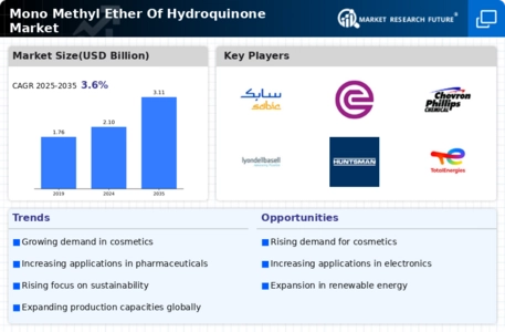 Mono Methyl Ether Hydroquinone Market Infographic