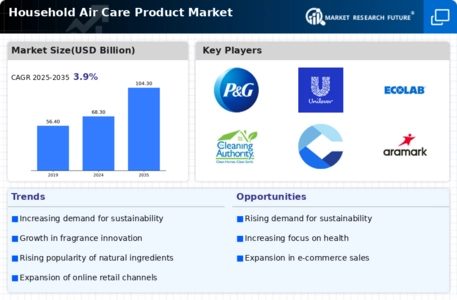 Household Air Care Product Market Infographic