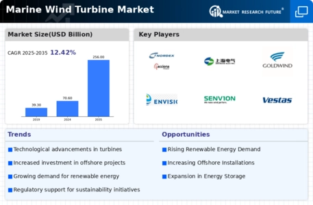 Marine Wind Turbine Market Infographic