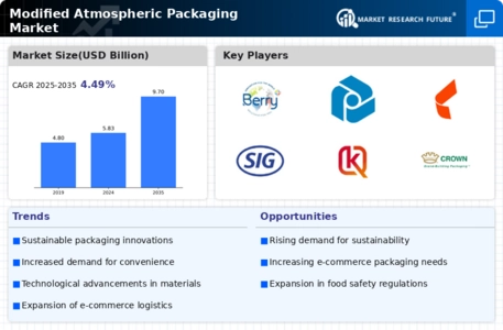 Modified Atmospheric Packaging Market Infographic