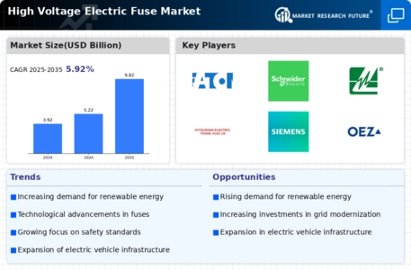 High Voltage Electric Fuse Market Infographic