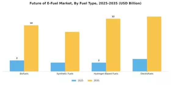 Future E Fuel Market  Segment Image 0