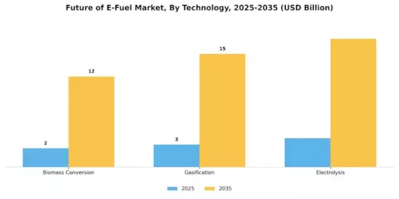 Future E Fuel Market  Segment Image 2