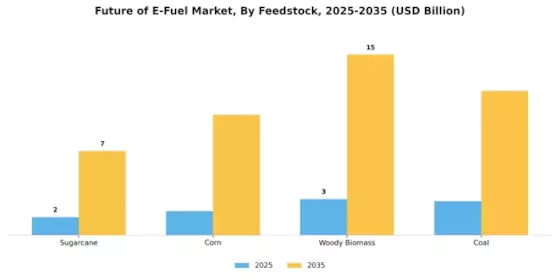 Future E Fuel Market  Segment Image 3
