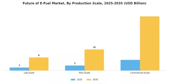 Future E Fuel Market  Segment Image 4