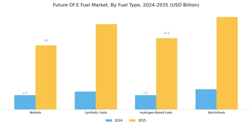 Future E Fuel Market  Segment Image 0