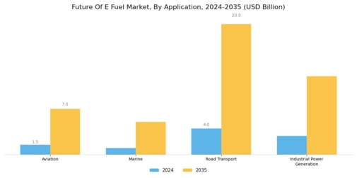 Future E Fuel Market  Segment Image 1