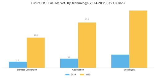 Future E Fuel Market  Segment Image 2