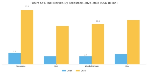 Future E Fuel Market  Segment Image 3