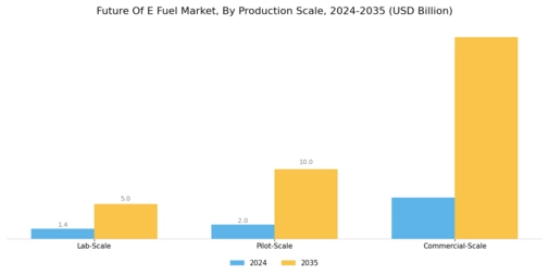 Future E Fuel Market  Segment Image 4