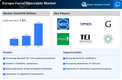 Europe Facial Injectable Market Infographic