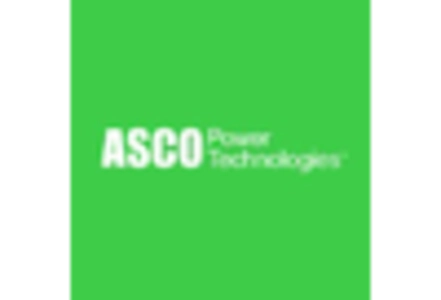 Static Transfer Switch Market key player