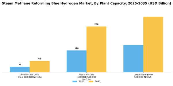 Steam Methane Reforming Blue Hydrogen Market Segment Image 2