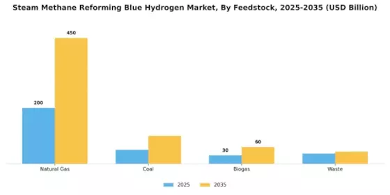 Steam Methane Reforming Blue Hydrogen Market Segment Image 0