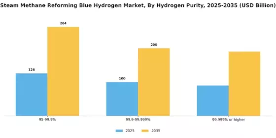 Steam Methane Reforming Blue Hydrogen Market Segment Image 3