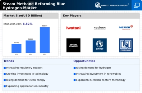 Steam Methane Reforming Blue Hydrogen Market Infographic