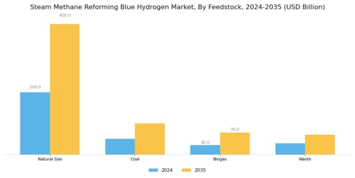 Steam Methane Reforming Blue Hydrogen Market Segment Image 0