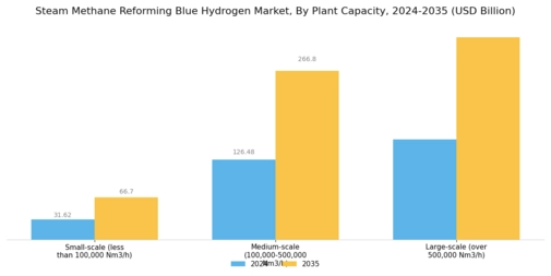 Steam Methane Reforming Blue Hydrogen Market Segment Image 1