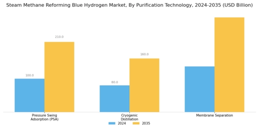 Steam Methane Reforming Blue Hydrogen Market Segment Image 2