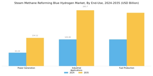 Steam Methane Reforming Blue Hydrogen Market Segment Image 3
