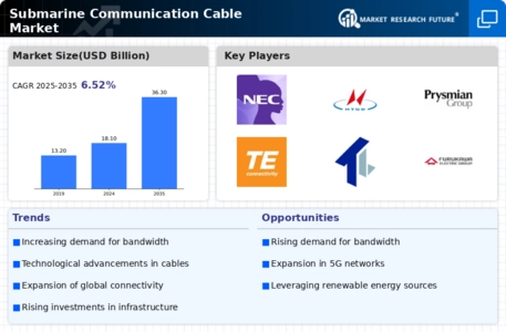 Submarine Communication Cable Market Infographic