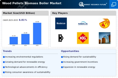 Wood Pellets Biomass Boiler Market Infographic