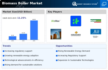 Biomass Boiler Market Infographic