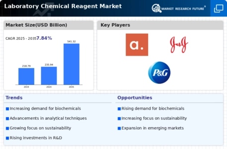 Laboratory Chemical Reagent Market Infographic