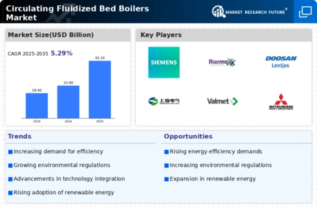 Circulating Fluidized Bed Boilers Market Infographic