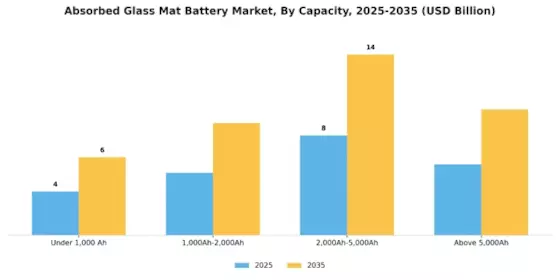 F Absorbed Glass Mat Battery Market Segment Image 1