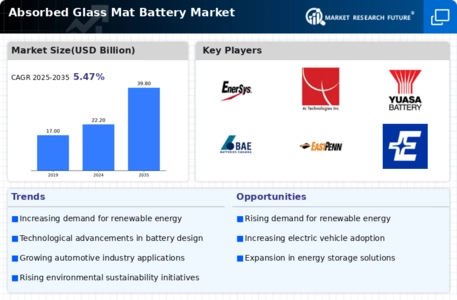 F Absorbed Glass Mat Battery Market Infographic