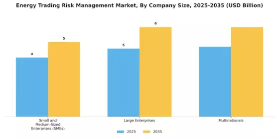 Energy Trading Risk Management Market Segment Image 4