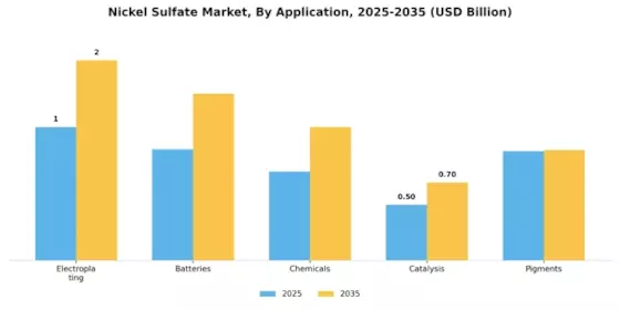 Nickel Sulfate Market
 Segment Image 2