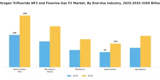 Nitrogen Trifluoride Nf3 And Fluorine Gas F2 Market Segment Image 4