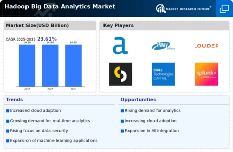 Hadoop Big Data Analytics Market Infographic