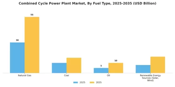 Combined Cycle Power Plant Market Segment Image 0