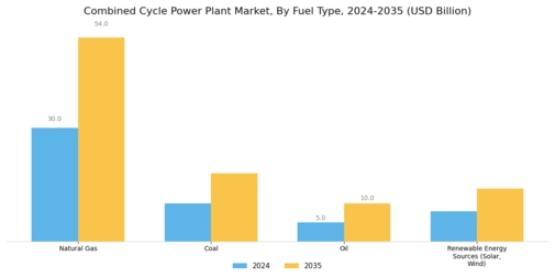 Combined Cycle Power Plant Market Segment Image 0