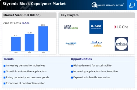 Styrenic Block Copolymer Market
 Infographic