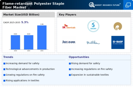 Flame-retardant Polyester Staple Fiber Market Infographic