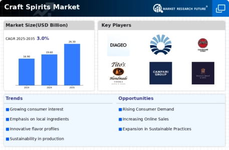 Craft Spirits Market Infographic