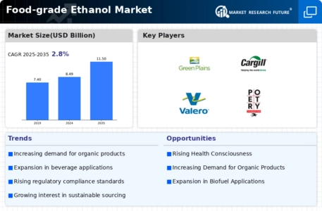 Food-grade Ethanol Market Infographic