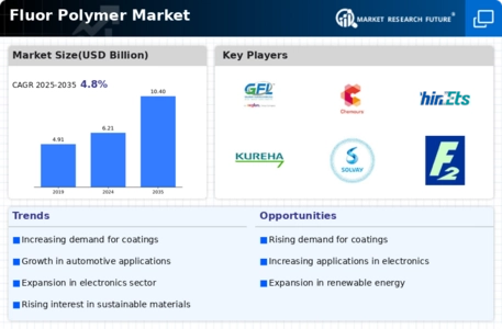 Fluor Polymer Market
 Infographic